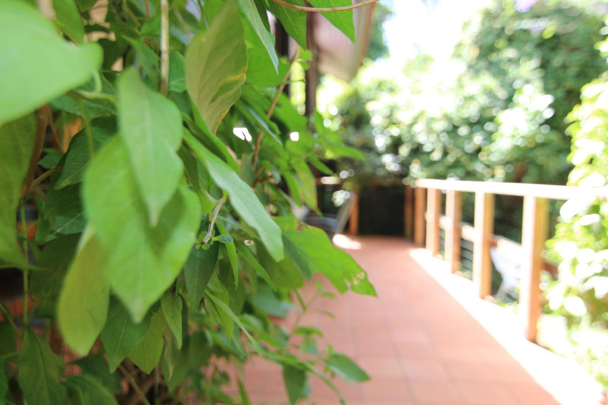 Vitrage Holiday Village&Spa Bet Hillel Rum bild
